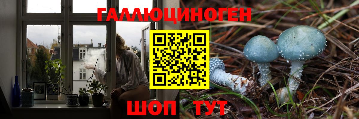 Псилоцибиновые грибы мухоморы  Вход с VPN  Миасс  купить  сайты  Псилоцибиновые грибы мухоморы 